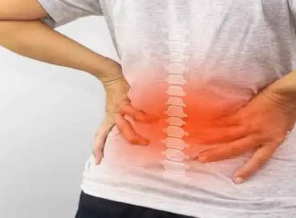 Joint & Bone Health